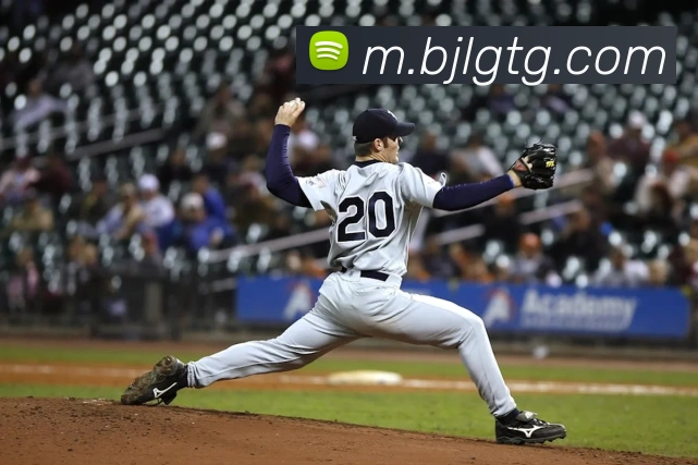 百家乐网站发展历程